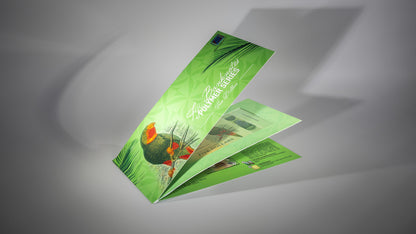 2025 New Polymer $5 Single Banknote Folder