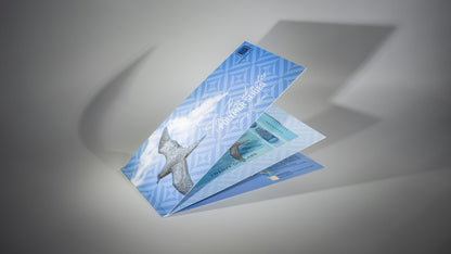 2025 New Polymer $20 Single Banknote Folder