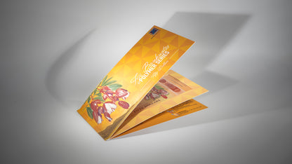 2025 New Polymer $50 Single Banknote Folder