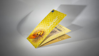2025 New Polymer $100 Single Banknote Folder